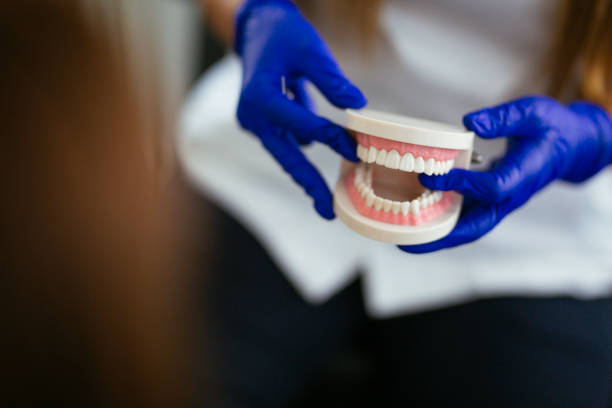 Best Veneers and Lumineers  in Palos Hls, IL